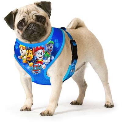 Peitoral Paw Patrol Azul para Cães