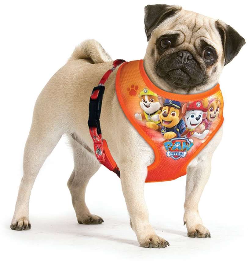 Peitoral Patrulha Canina Laranja para Cães - Tam. M