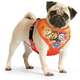 Peitoral Paw Patrol Laranja para Cães