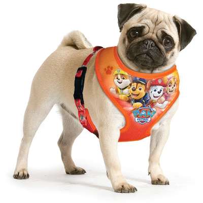Peitoral Paw Patrol Laranja para Cães