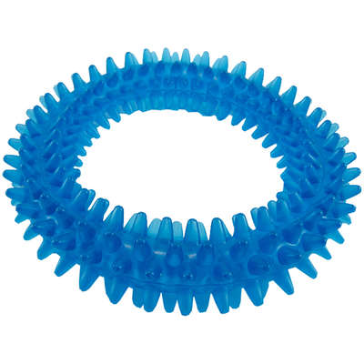 Brinquedo Mordedor Argola Cores Sortidas