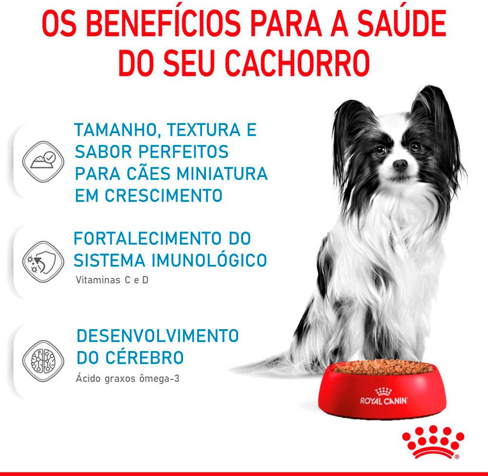 Ração Úmida Royal Canin Sachê X-small Puppy para Cães Filhotes de Porte Miniatura - 85 g - 36 Unidades