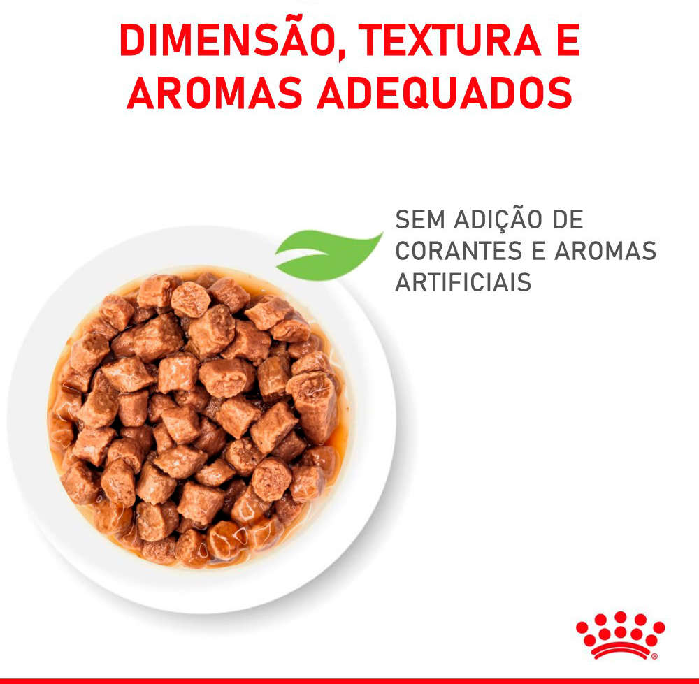 Ração Úmida Royal Canin Sachê Pedaços ao Molho Kitten Sterilised para Gatos Filhotes Castrados - 85 g - 36 Unidades