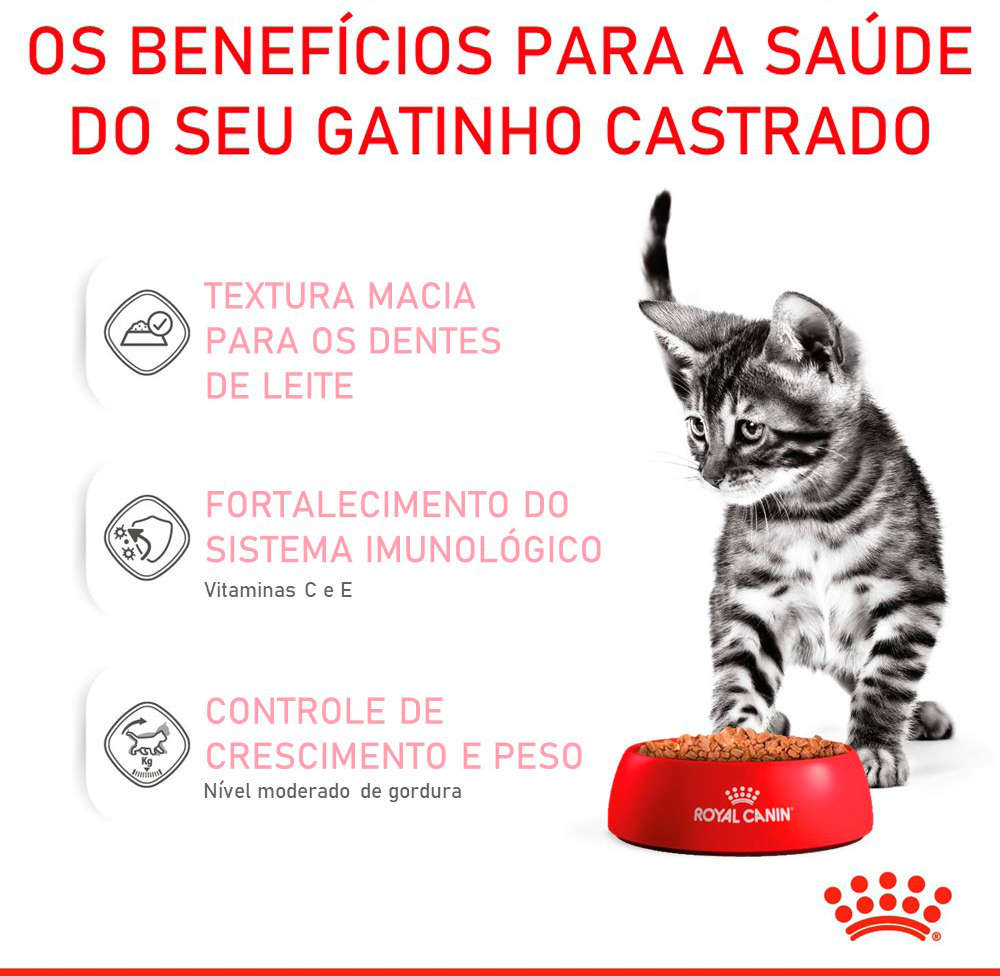 Ração Úmida Royal Canin Sachê Jelly Kitten Sterilised para Gatos Filhotes Castrados de até 12 meses - 85 g - 36 Unidades