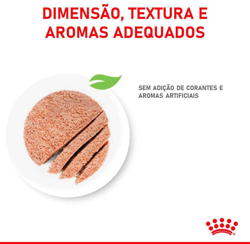 Ração Úmida Royal Canin Sachê Patê Filhotes Kitten para Gatos Filhotes de até 12 meses - 85 g - 36 Unidades