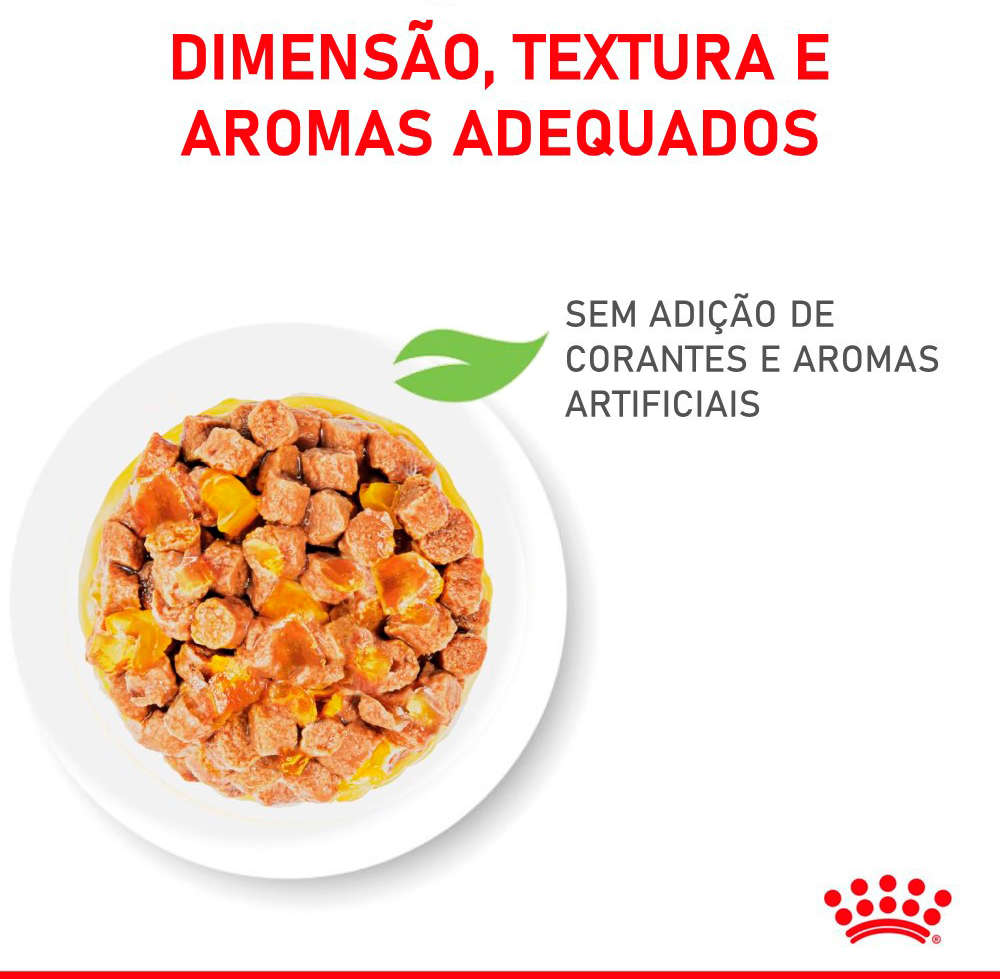 Ração Úmida Royal Canin Sachê Jelly Filhotes Kitten para Gatos Filhotes de até 12 meses - 85 g - 36 Unidades