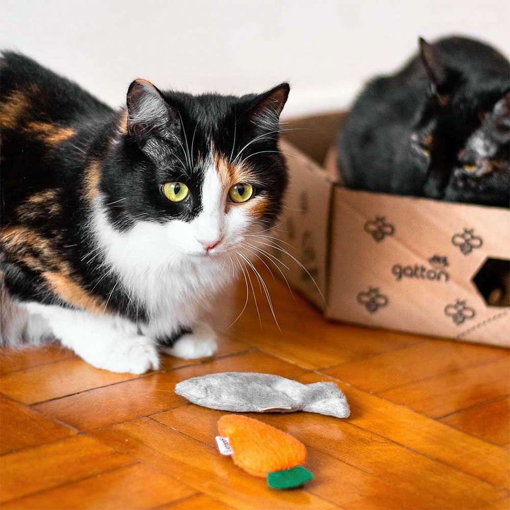 Brinquedo Pelúcia Cenoura e Peixe com Catnip para Gatos - Tam. Único