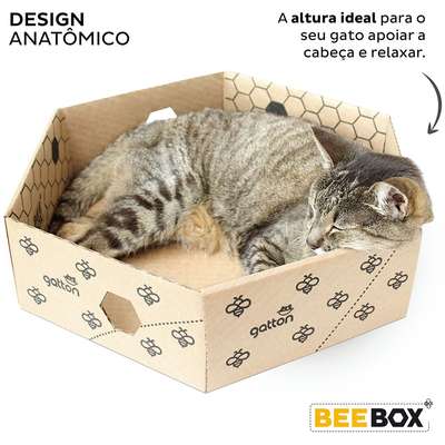 Brinquedo Caixa Hexagolnal de Papelão para Gatos