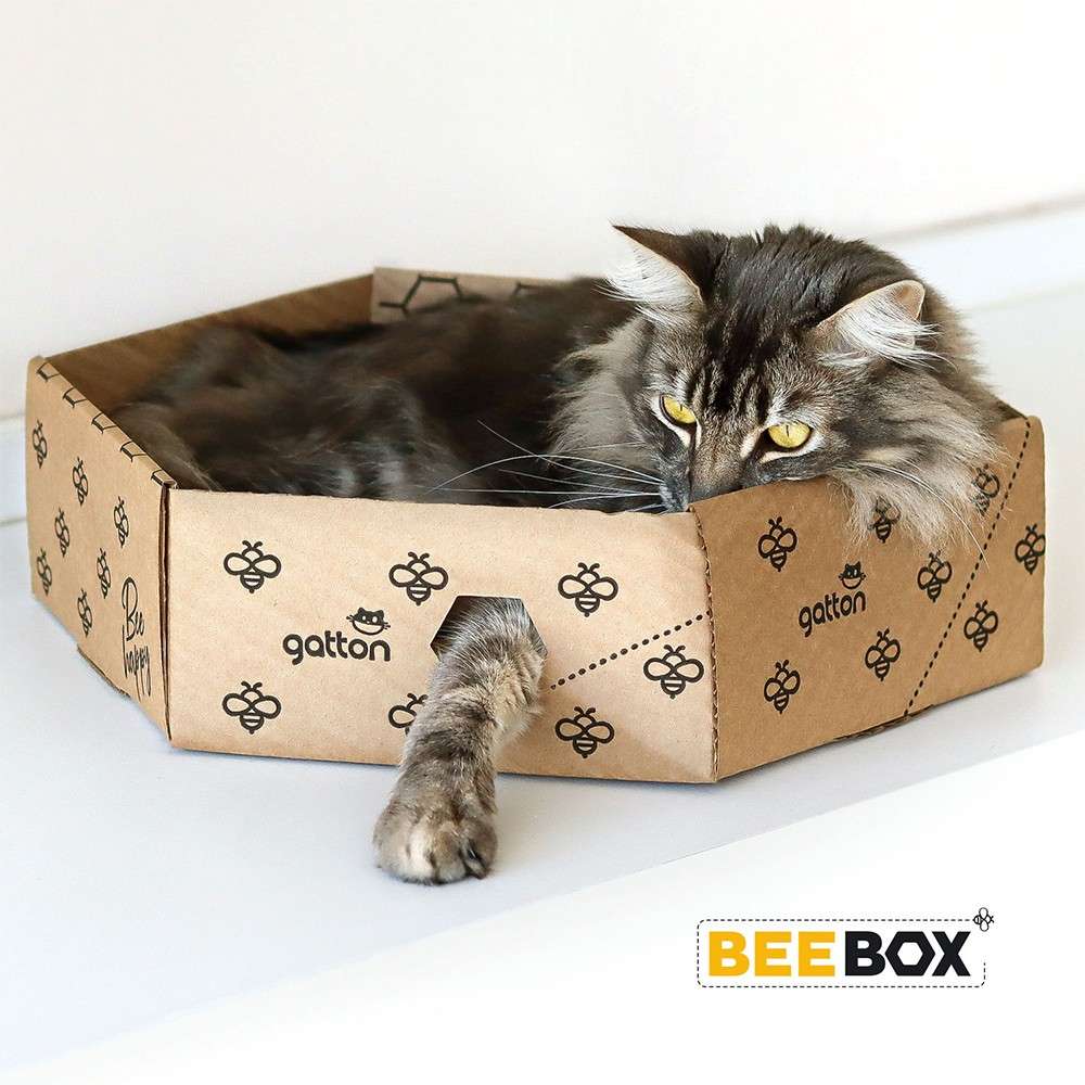 Brinquedo Caixa Hexagonal de Papelão para Gatos - Tam. Único
