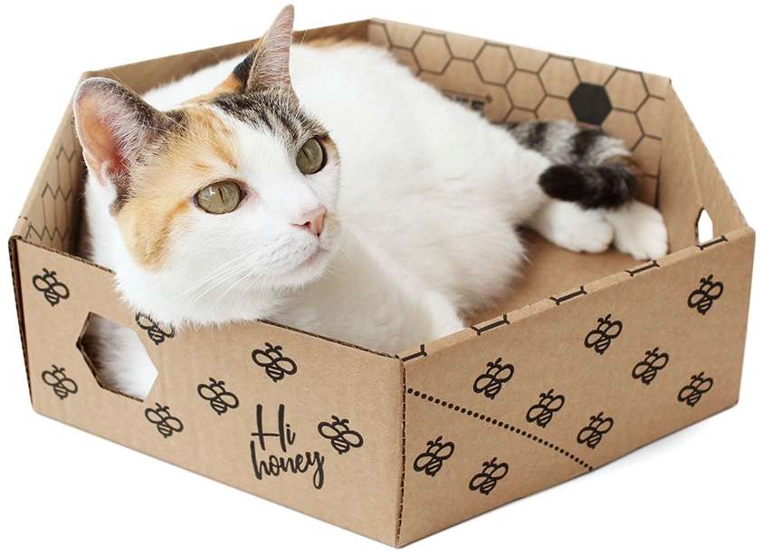Brinquedo Caixa Hexagonal de Papelão para Gatos - Tam. Único