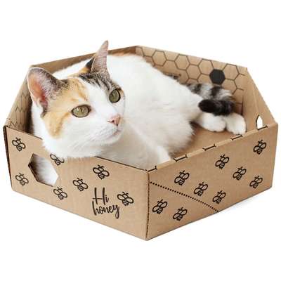 Brinquedo Caixa Hexagolnal de Papelão para Gatos
