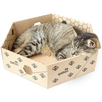 Brinquedo Caixa Hexagolnal de Papelão para Gatos