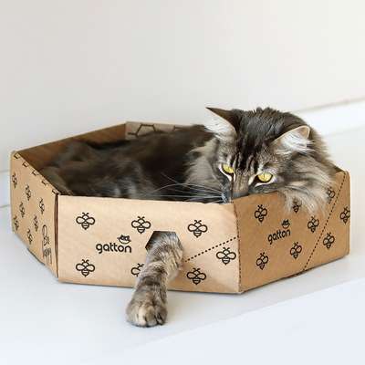 Brinquedo Caixa Hexagolnal de Papelão para Gatos