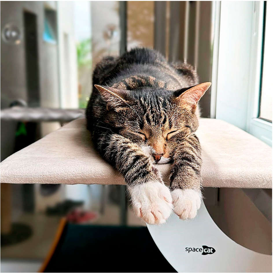Cama de Janela Spacecat Juno para Gatos - Tam. Único