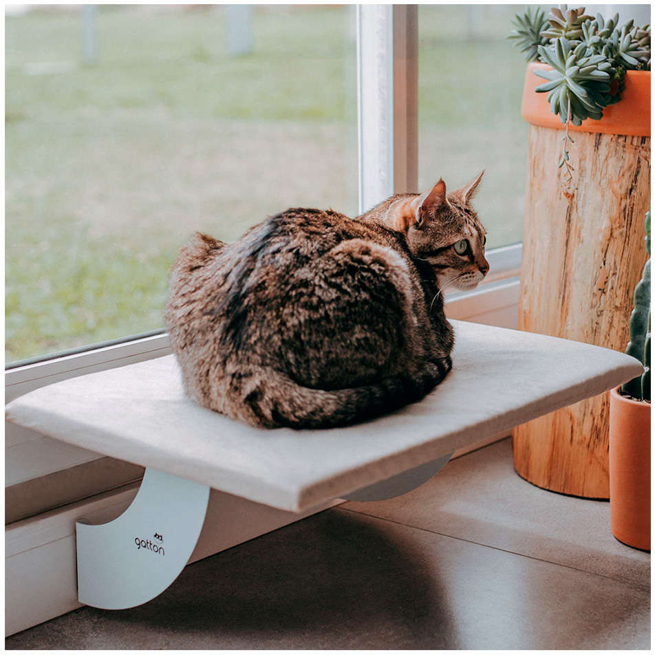 Cama de Janela Spacecat Juno para Gatos - Tam. Único