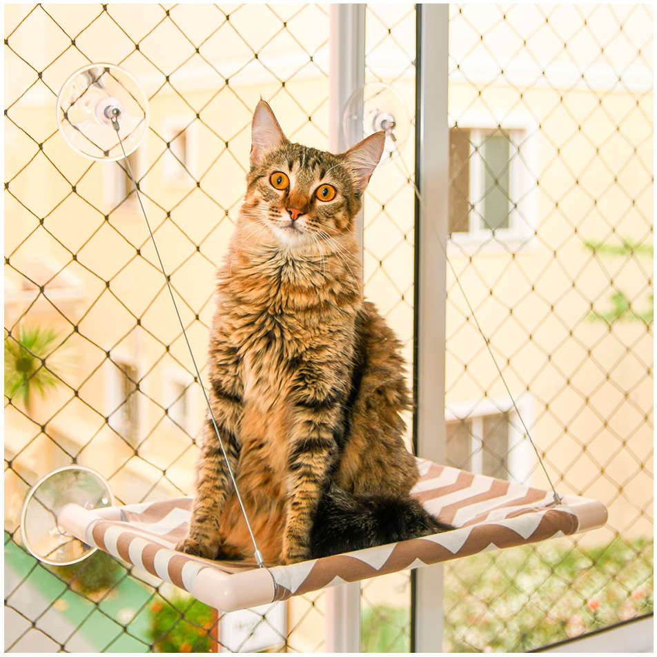 Cama de Janela Gatton Catbed Arizona para Gatos - Tam. King