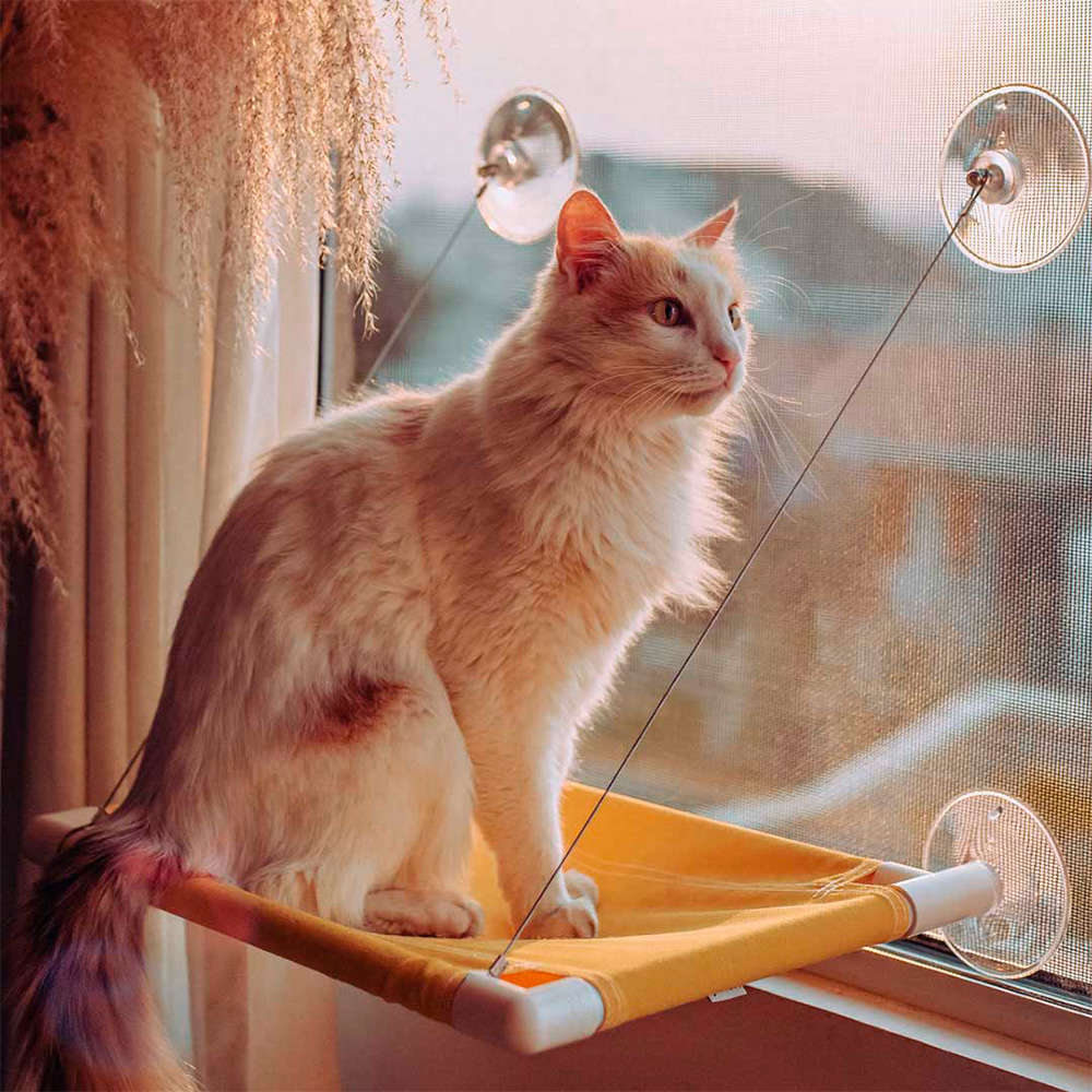 Cama de Janela Gatton Catbed Joy para Gatos - Tam. King