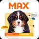 Ração Seca Max Carne e Arroz para Cães Filhotes de Porte Médio e Grande