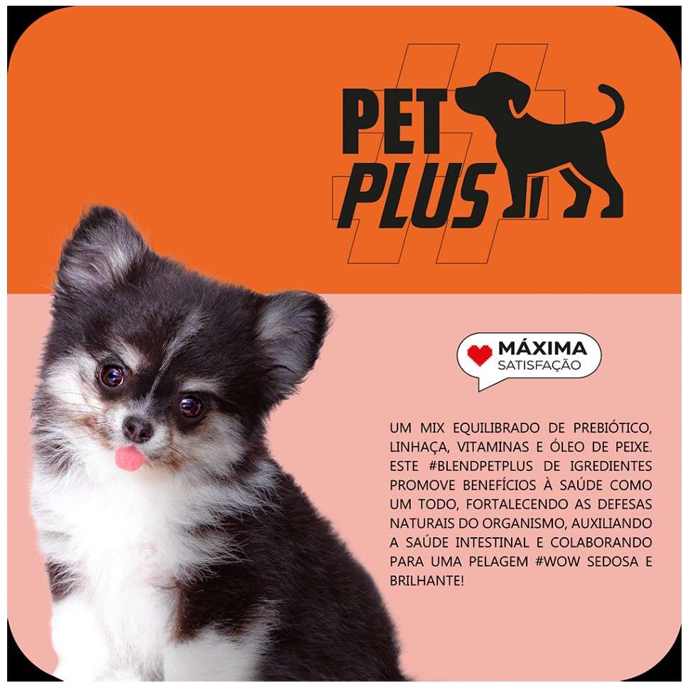 Ração Seca Max Carne e Arroz para Cães Filhotes de Porte Pequeno - 10,1Kg
