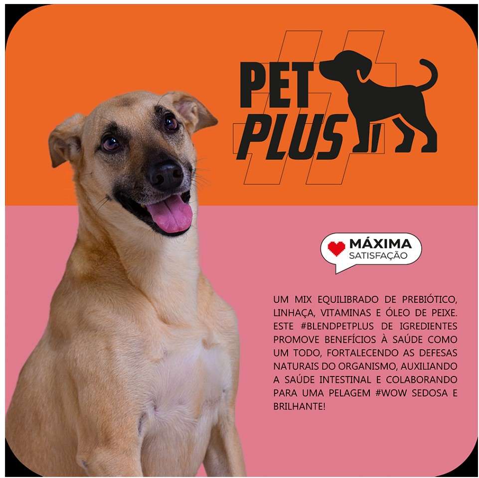 Ração Seca Max Frango e Arroz para Cães de Porte Médio e Grande - 20Kg