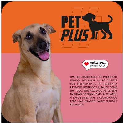 Ração Seca Max Frango e Arroz para Cães de Porte Médio e Grande
