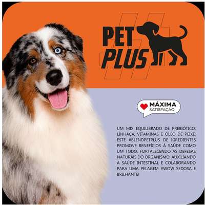 Ração Seca Max Carne e Arroz para Cães de Porte Médio e Grande