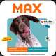 Ração Seca Max Carne, Frango e Arroz para Cães de Porte Médio e Grande