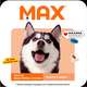 Ração Seca Max Frango e Arroz para Cães Idosos de Porte Pequeno