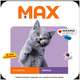 Ração Seca Max Frango para Gatos