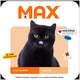 Ração Seca Max Salmão para Gatos Castrados