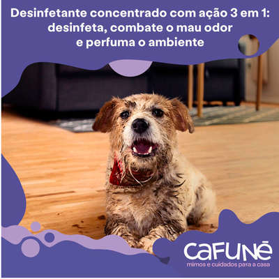 Desinfetante Cafuné Concentrado Erva-Doce