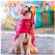 Capa de Chuva Lotus Pink