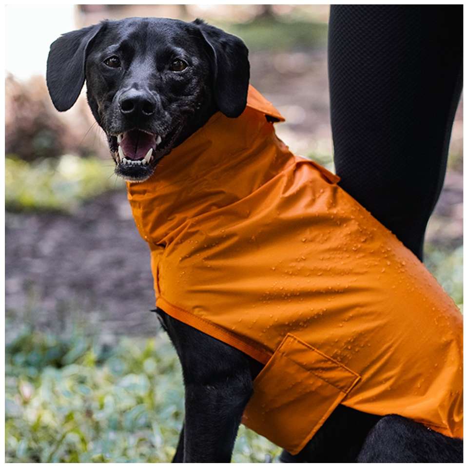 Capa de Chuva Lotus Laranja - Tam. P