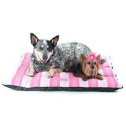 Colchonete Colchodog Risk Chiclete - Tam. 03