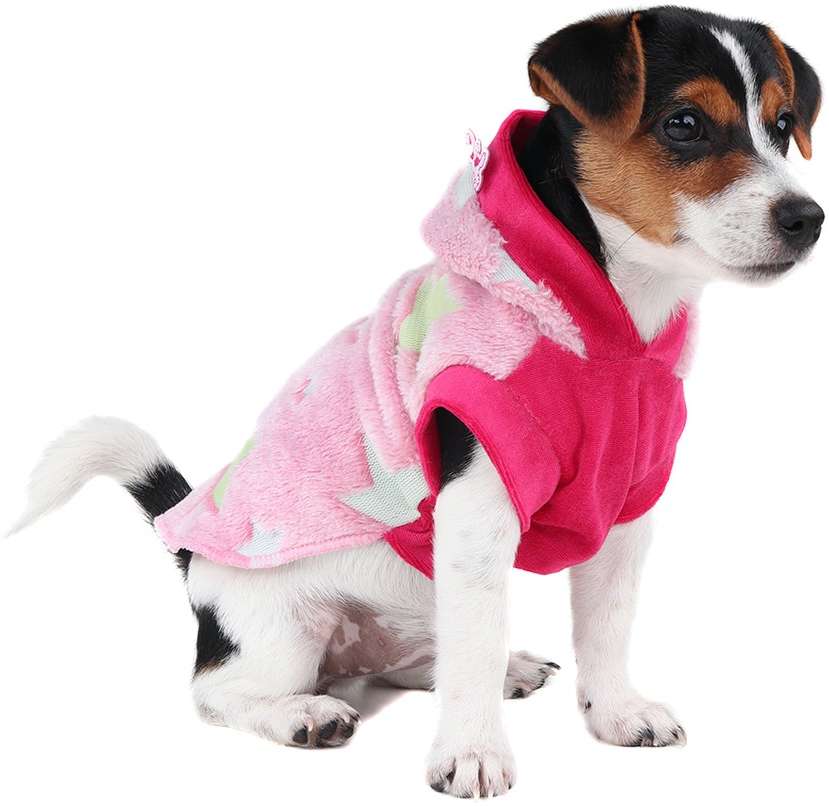 Blusa Puppy Magic Rosa - Tam. 03