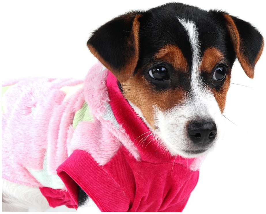 Blusa Puppy Magic Rosa - Tam. 03