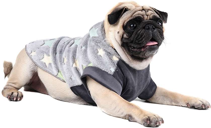 Blusa Puppy Magic Grafite - Tam. 00