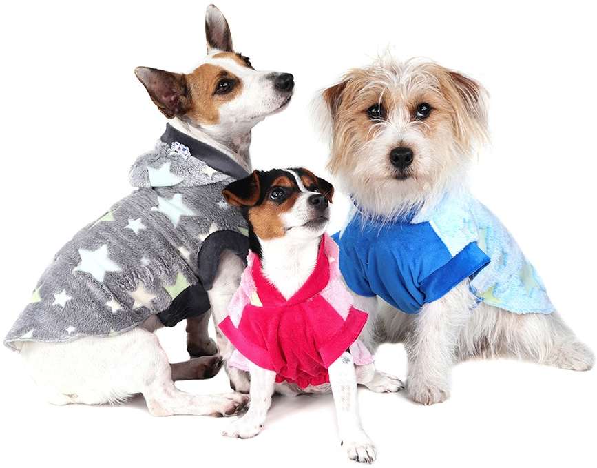 Blusa Puppy Magic Grafite - Tam. 00
