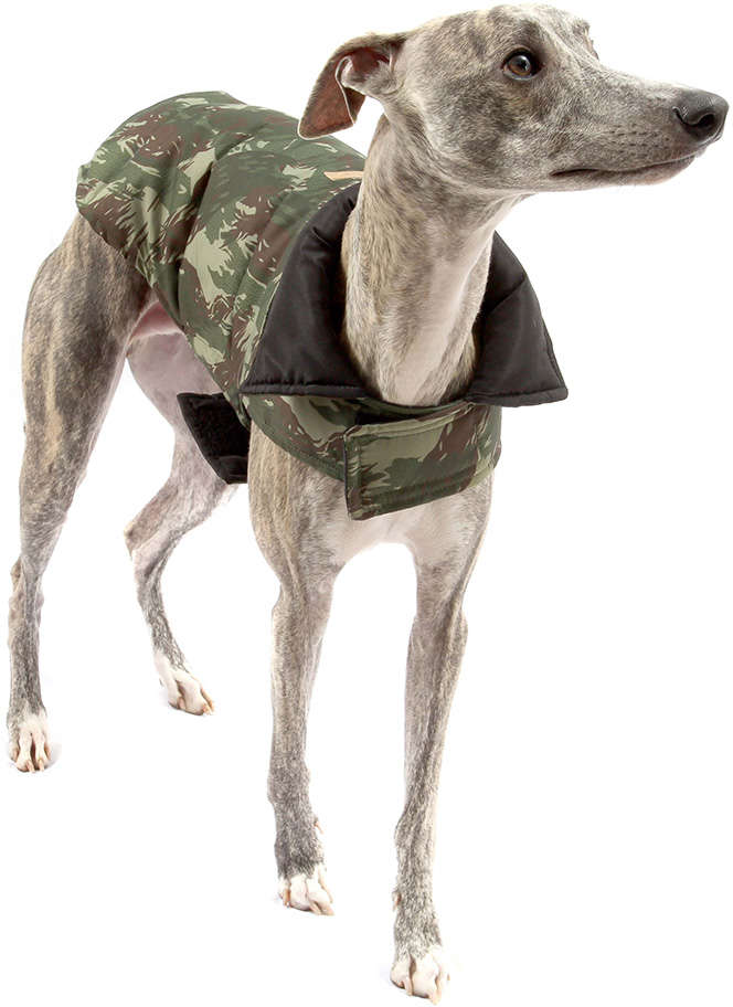 Capa Camuflada Verde - Tam. 02