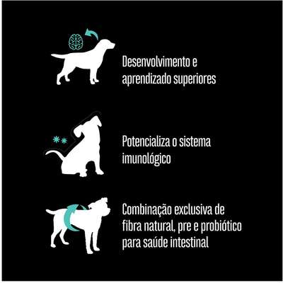 Ração Seca Equilíbrio Frango para Cães Filhotes de Porte Mini