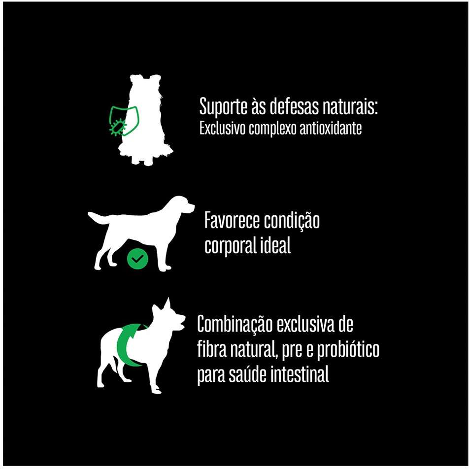 Ração Seca Equilíbrio Frango para Cães Adultos de Porte Médio - 2,5Kg