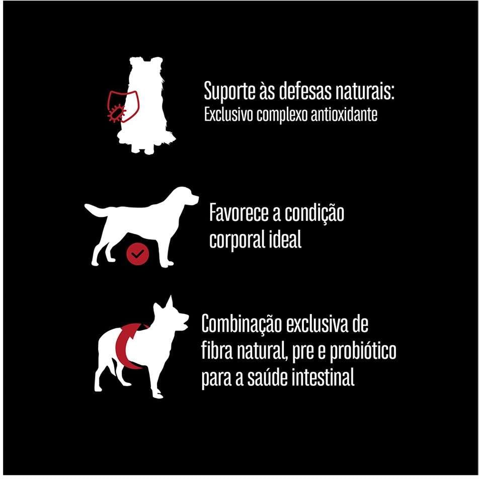 Kit Ração Seca Equilíbrio Carne para Cães Adultos de Porte Médio - 24Kg