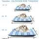 Colchonete Colchodog Risk Turqu