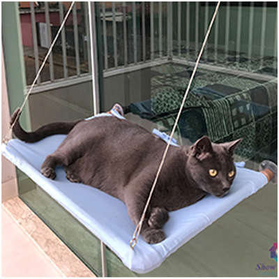 Cama Janeleira Azul Bebê para Gatos