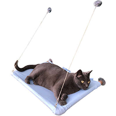 Cama Janeleira Azul Bebê para Gatos