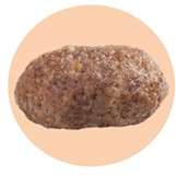 Ração Seca GranPlus Gourmet Ovelha & Arroz para Cães Adultos Raças Mini - 10,1Kg