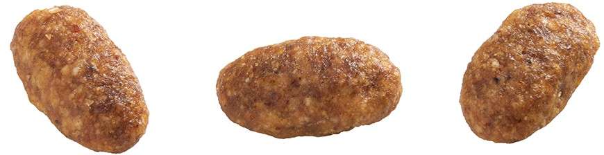 Ração Gran Plus Frango e Arroz para Gatos Adultos - 10,1Kg