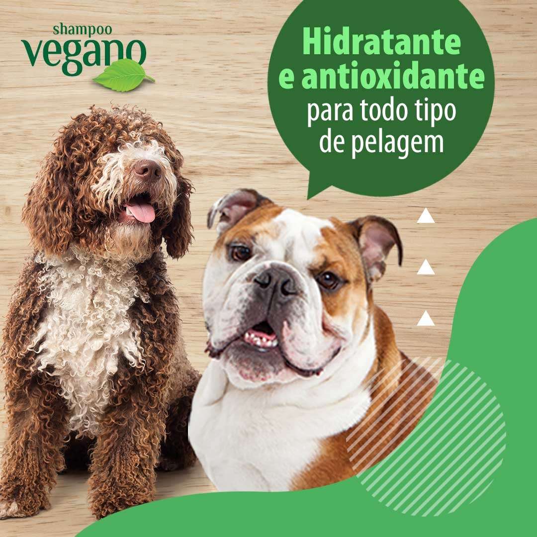 Shampoo Bellokão Vegano Detox Extrato de Ginseng e Aloe Vera - 500 mL