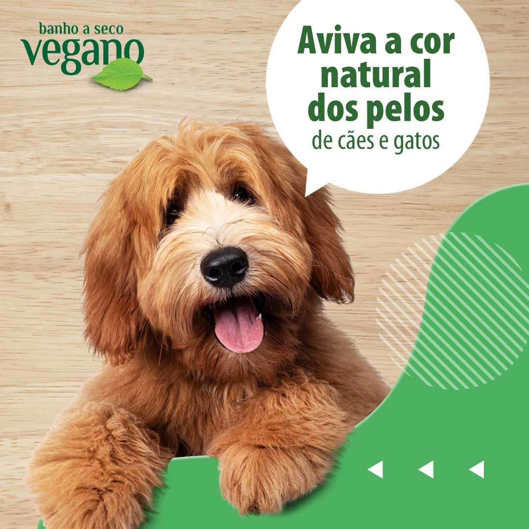 Shampoo Bellokão Vegano Realça Cor dos Pelos Camomila - 500 mL