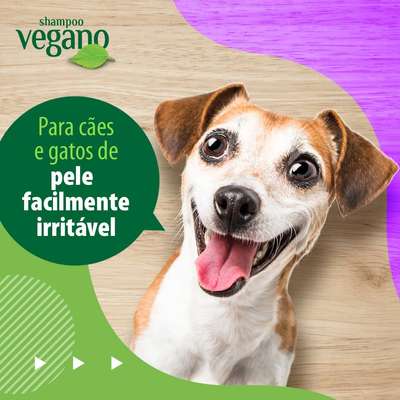 Shampoo Bellokão Vegano Hipoalergênico para Peles Sensíveis